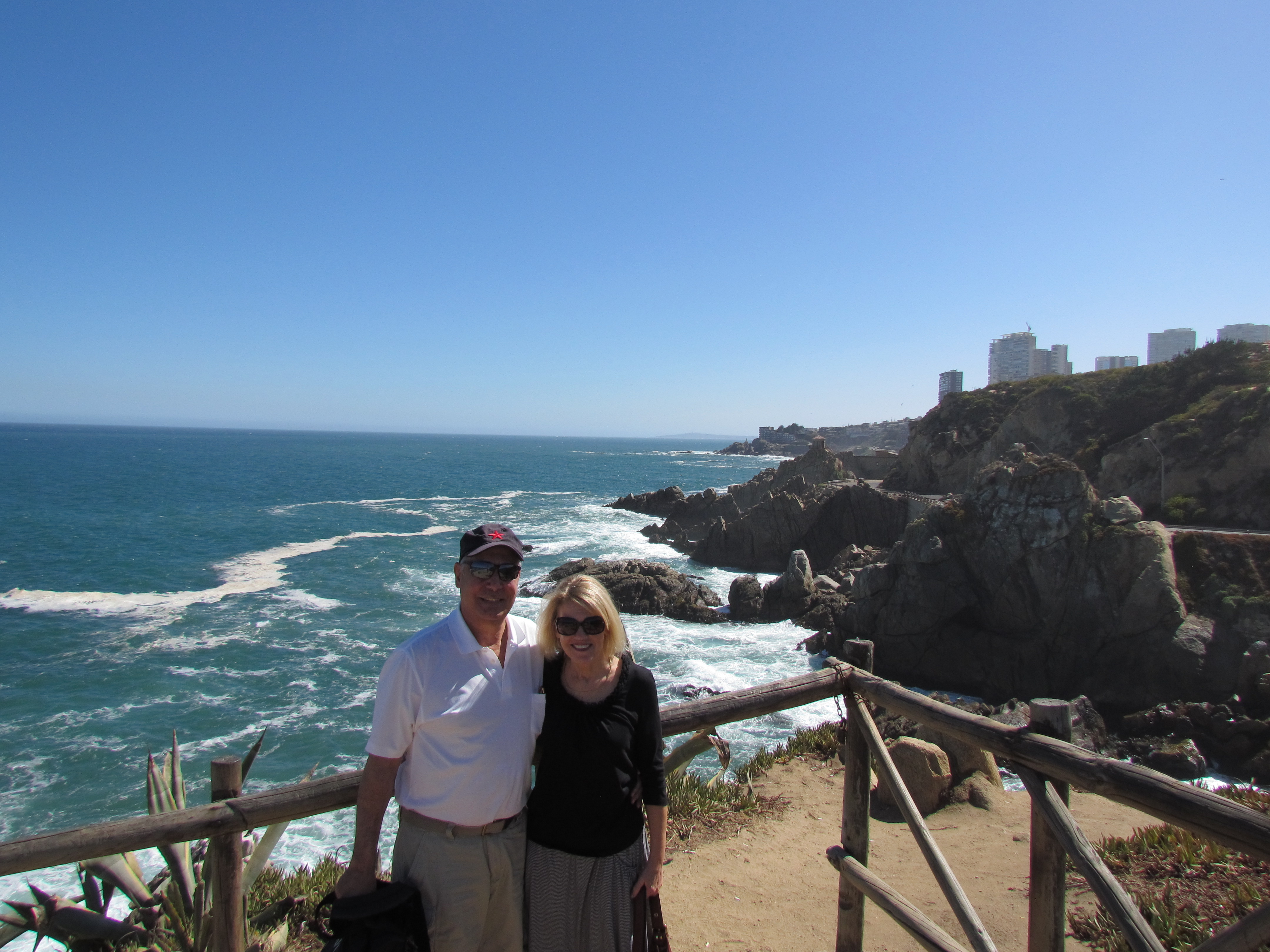 From San Antonio Port: Private Tour Viña del Mar and Valparaiso